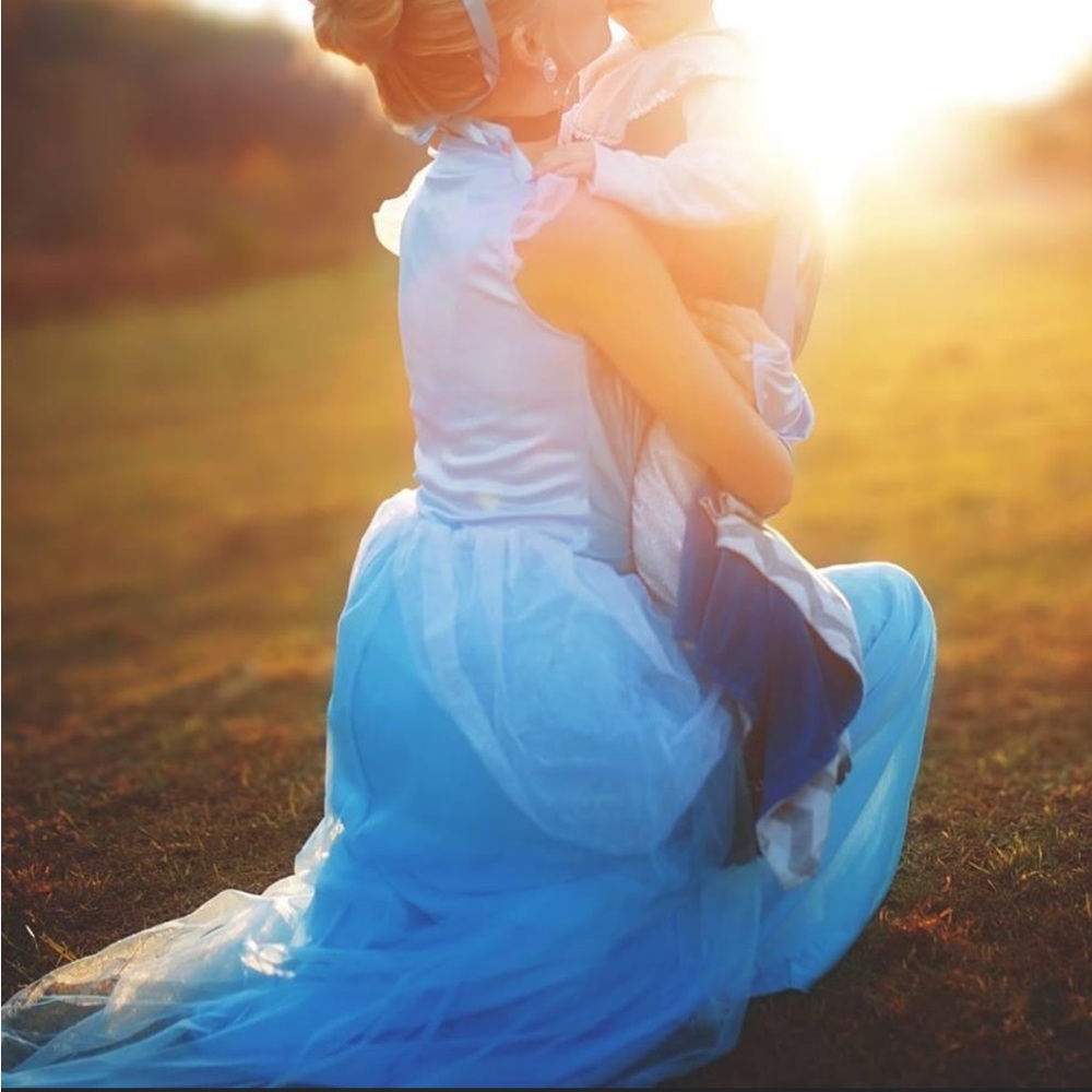 Cinderella dress/costume